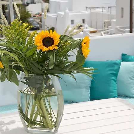 Fraskoula's אגיוס סטפנוס